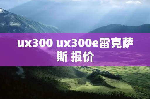 ux300 ux300e雷克萨斯 报价