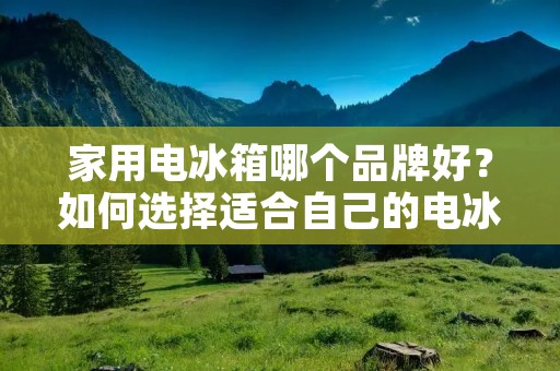 家用电冰箱哪个品牌好?如何选择适合自己的电冰箱? 家用电冰箱哪个品牌好?如何选择适合自己的电冰箱?