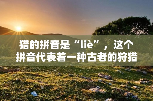猎的拼音是“liè”，这个拼音代表着一种古老的狩猎文化，是人类文明发展的一个重要历程。在古代，狩猎是人类获取食物和生存的重要途径，也是展示男子汉气概和勇气的一种方式。随着时代的变迁，狩猎逐渐演变为一种运动和娱乐活动，但其文化内涵和历史价值仍然不可忽视。
