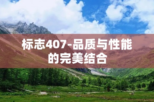 标志407-品质与性能的完美结合 标志407-品质与性能的完美结合