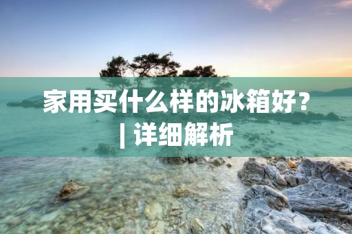 家用买什么样的冰箱好？| 详细解析