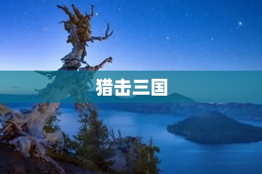 猎击三国：一个独特的历史题材游戏