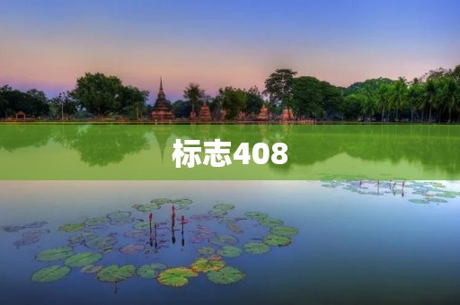 标志408：舒适、安全、高效的旅行伴侣