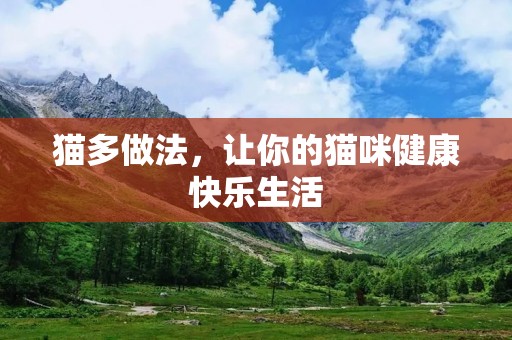 猫多做法,让你的猫咪健康快乐生活 猫多做法,让你的猫咪健康快乐生活