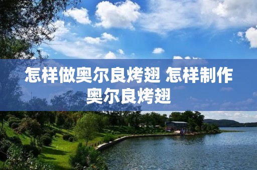 怎样做奥尔良烤翅 怎样制作奥尔良烤翅