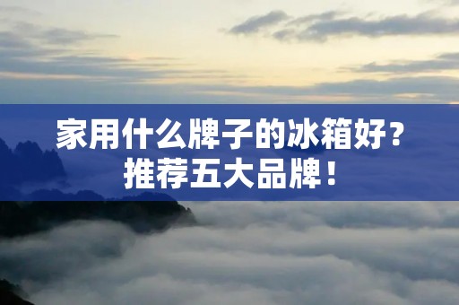 家用什么牌子的冰箱好?推荐五大品牌! 家用什么牌子的冰箱好?推荐五大品牌!