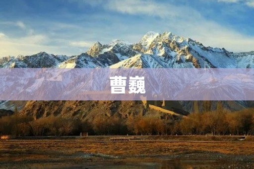 曹巍:中国乒乓球运动员的个人资料 曹巍:中国乒乓球运动员的个人资料