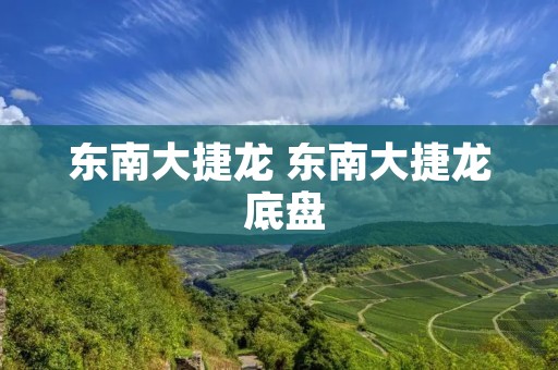 东南大捷龙 东南大捷龙 底盘
