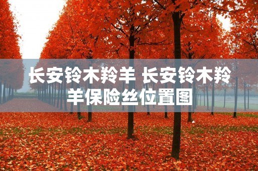 长安铃木羚羊 长安铃木羚羊保险丝位置图 长安铃木羚羊 长安铃木羚羊保险丝位置图