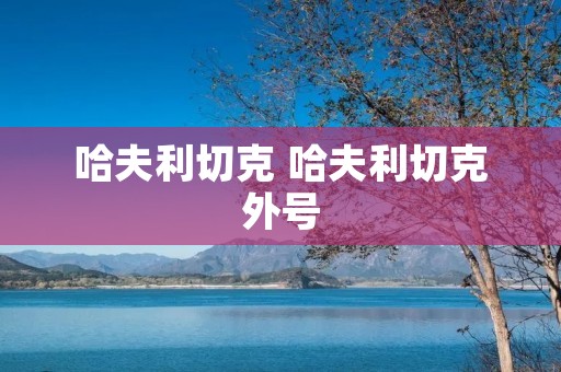 哈夫利切克 哈夫利切克外号 哈夫利切克 哈夫利切克外号