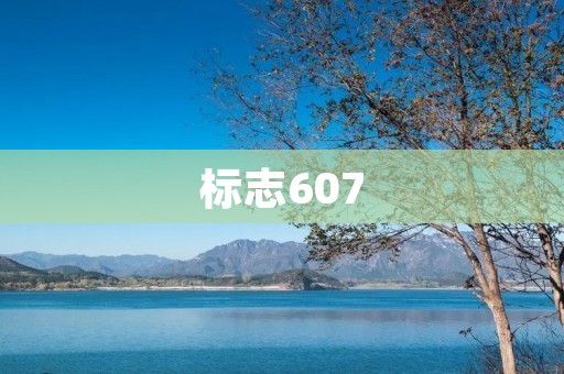 标志607:豪华座驾的代表作 标志607:豪华座驾的代表作