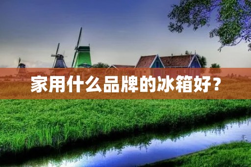 家用什么品牌的冰箱好？
