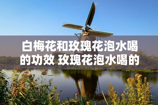 白梅花和玫瑰花泡水喝的功效 玫瑰花泡水喝的功效与作用 白梅花和玫瑰花泡水喝的功效 玫瑰花泡水喝的功效与作用