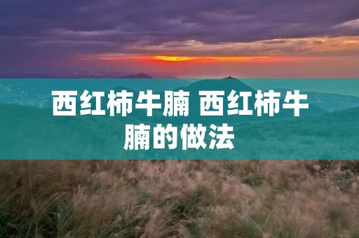 西红柿牛腩 西红柿牛腩的做法