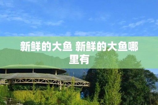 新鲜的大鱼 新鲜的大鱼哪里有