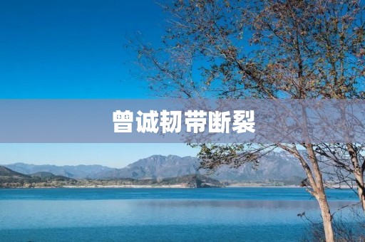 曾诚韧带断裂:一位足球运动员的伤病之路 曾诚韧带断裂:一位足球运动员的伤病之路