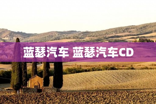 蓝瑟汽车 蓝瑟汽车CD