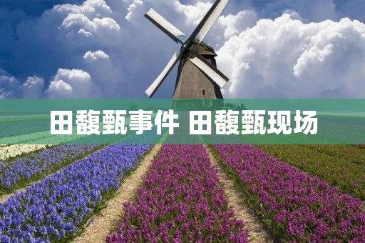 田馥甄事件 田馥甄现场