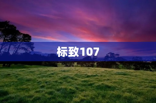 标致107：经典小车的诞生与发展