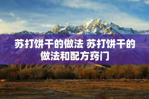 苏打饼干的做法 苏打饼干的做法和配方窍门