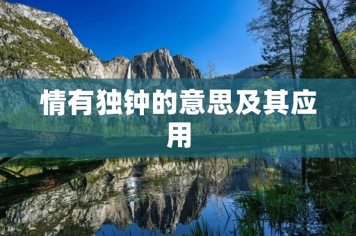 情有独钟的意思及其应用