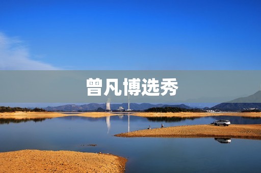 曾凡博选秀：从草根歌手到实力唱作人
