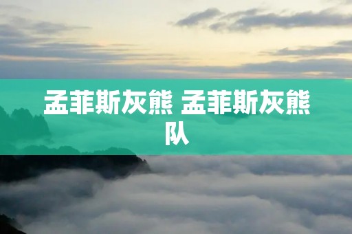 孟菲斯灰熊 孟菲斯灰熊队