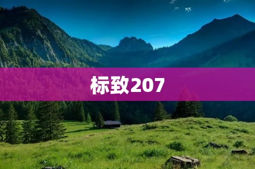 标致207：小巧玲珑的法国魅力