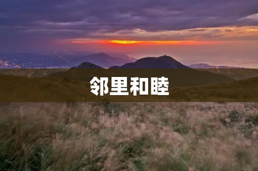 邻里和睦：共建和谐社区
