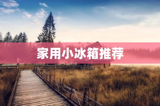 家用小冰箱推荐：品质与价格兼备