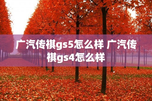 广汽传祺gs5怎么样 广汽传祺gs4怎么样