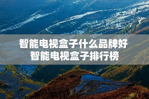 智能电视盒子什么品牌好 智能电视盒子排行榜 智能电视盒子什么品牌好 智能电视盒子排行榜