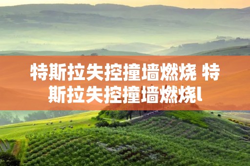 特斯拉失控撞墙燃烧 特斯拉失控撞墙燃烧l