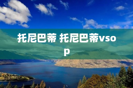 托尼巴蒂 托尼巴蒂vsop 托尼巴蒂 托尼巴蒂vsop