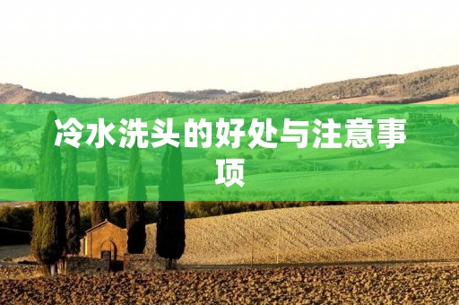 冷水洗头的好处与注意事项