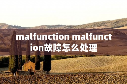 malfunction malfunction故障怎么处理