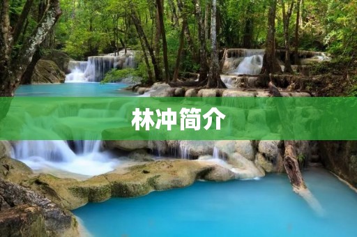 林冲简介：梁山好汉之首