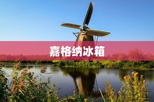 嘉格纳冰箱:一款来自德国的优秀品牌 嘉格纳冰箱:一款来自德国的优秀品牌