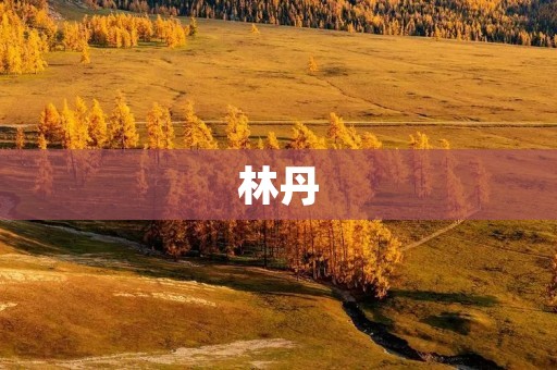 林丹：羽球界传奇