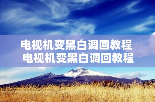 电视机变黑白调**程 电视机变黑白调**程