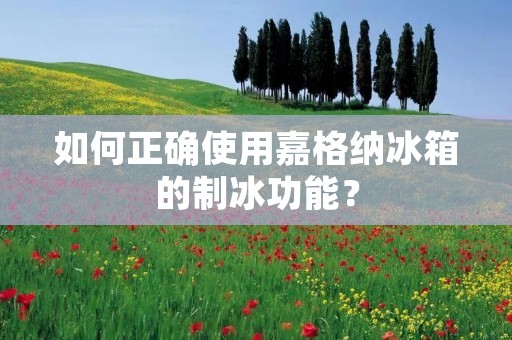 如何正确使用嘉格纳冰箱的制冰功能？