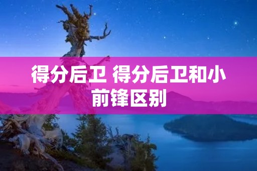 得分后卫 得分后卫和小前锋区别