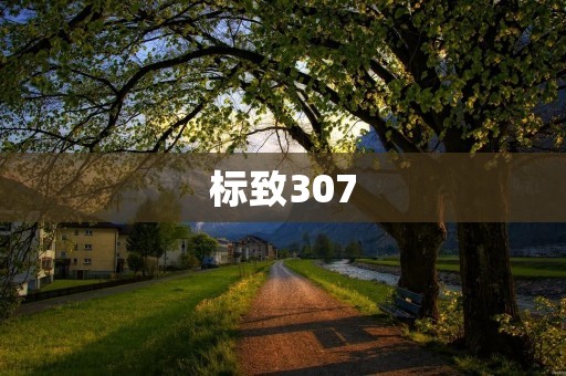 标致307：一款实用性强的家用轿车