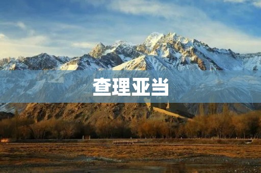 查理亚当：探寻经济学的奇才