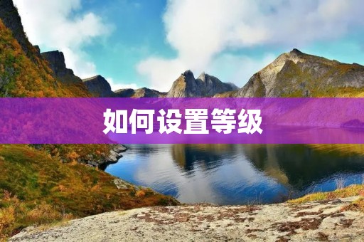 如何设置等级