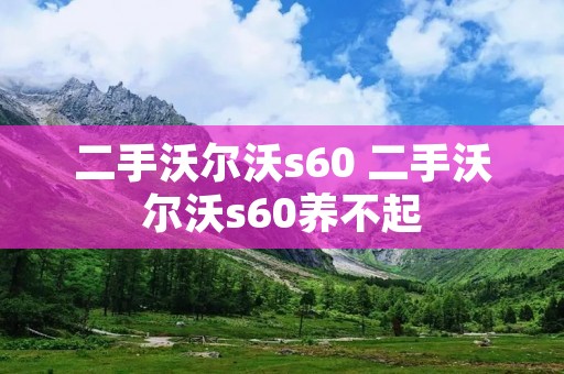 二手沃尔沃s60 二手沃尔沃s60养不起