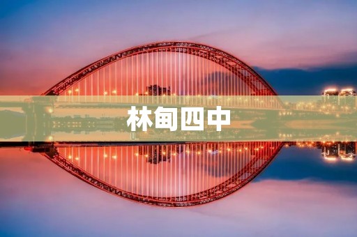 林甸四中：建设全面发展的素质教育基地