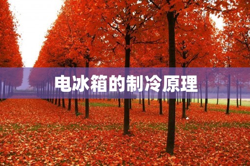 电冰箱的制冷原理