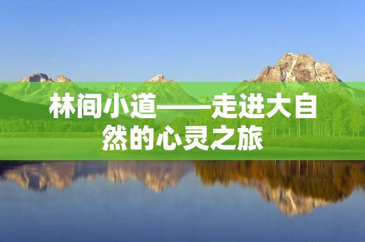 林间小道——走进大自然的心灵之旅