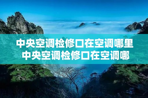 中央空调检修口在空调哪里 中央空调检修口在空调哪里啊